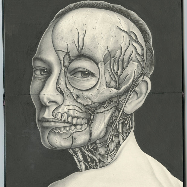 Image of a drawing in an open face Moleskine notebook of a person peering over their shoulder, with half of their skull and veins exposed set against a dark background by artist Paul Jackson