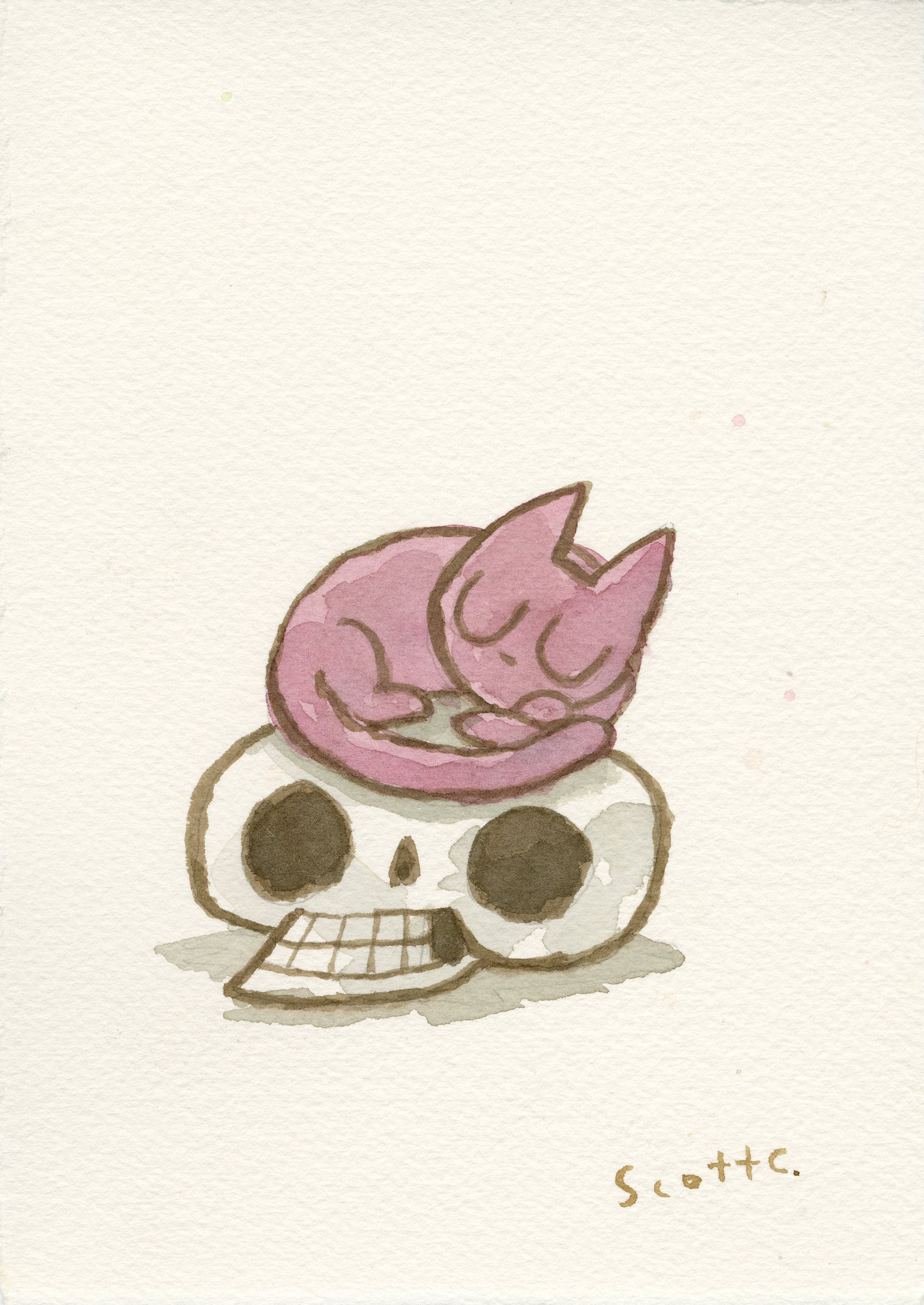 A pink cat sleeps atop a large skull with dark eye sockets and a toothy grin in a simple watercolor illustration inspired by Scott C. art, created by Scott C.