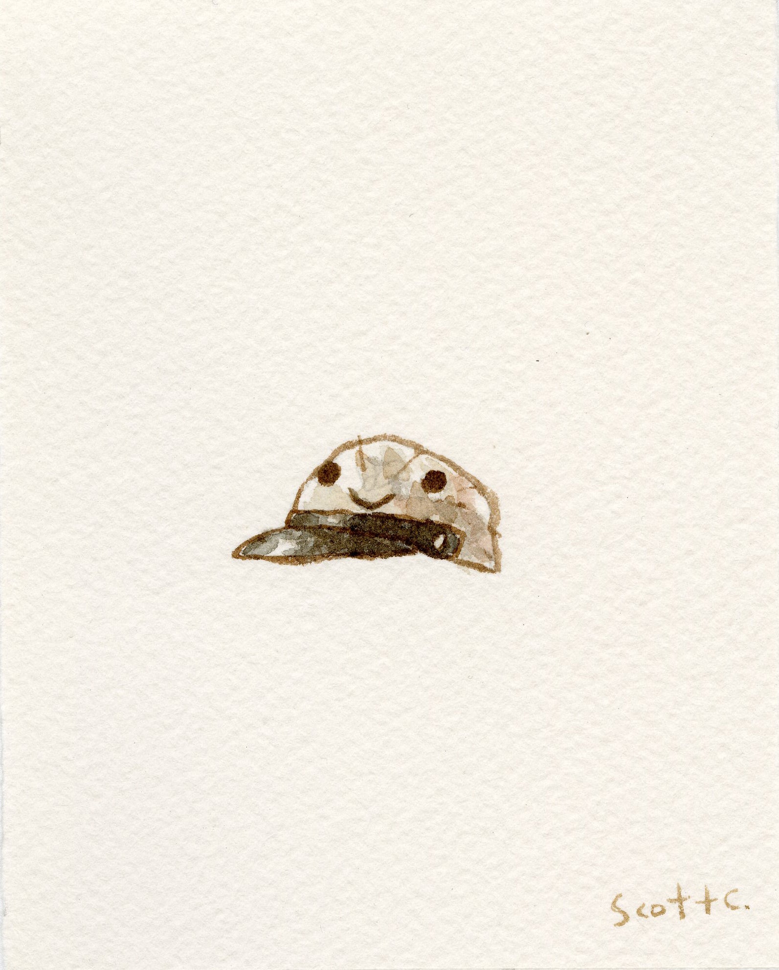 A small watercolor on paper by Scott C. depicts a beige baseball cap with two black dot eyes and a simple smile, giving it a cute character look. The artist’s signature appears in the bottom right corner.