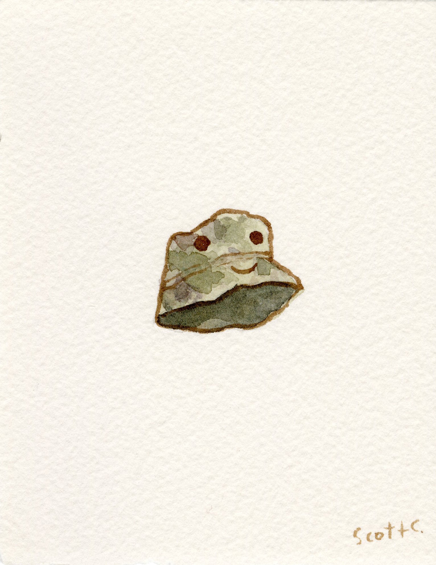 A simple Scott C. artwork shows a green frog with brown spots, painted in watercolor on textured white paper. The frog faces forward with a subtle smile, and the piece is signed “Scott C.” in the bottom right corner. Brand: Scott C.