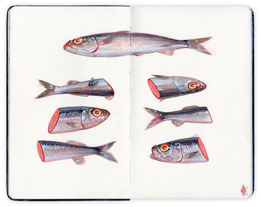 open face Moleskine notebook with four fish depicted in a row, three of the fish are sliced in half by artist Stephanie Brown