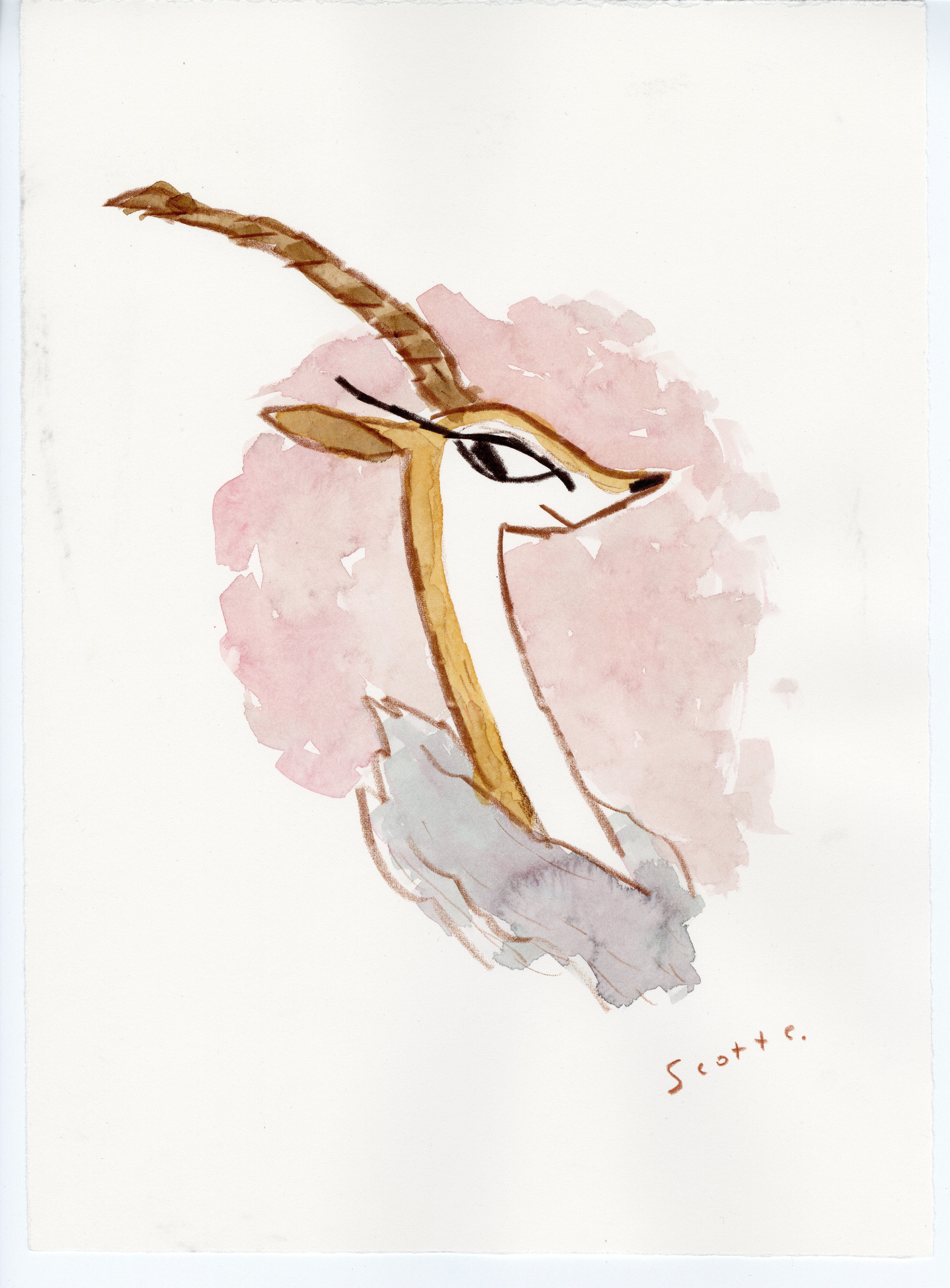 A whimsical watercolor of a stylized antelope with a long curved horn on a soft pink and gray background, featuring the Scott C. signature in the lower right, marking it as an original Scott C. artwork.