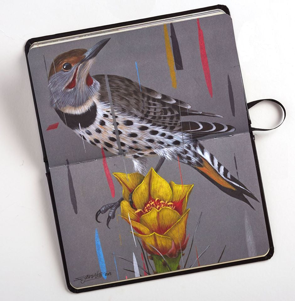 A Paragon Books notebook is open, displaying a woodpecker illustration perched on a yellow flower. The gray background features colorful vertical streaks, highlighting the detailed and realistic style typical of international artists.