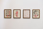 Four Cannon Dill custom framed artworks, featuring intricate pen and ink designs in red, black, and white, hang on a white wall. The themes include abstract patterns, architectural elements, and animal-like figures. Each frame has a small red marker placed beneath it.