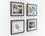 Four framed artworks hang on a white wall, resembling a Moleskine exhibit, featuring images of a graffiti-covered bridge, an abstract blue and beige piece by Mary Iverson, a detailed owl sketch, and a geometric design in green and blue.