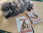 Ravi Zupa - "Complicated Friendships Cat" Greeting Cards - Spoke Art