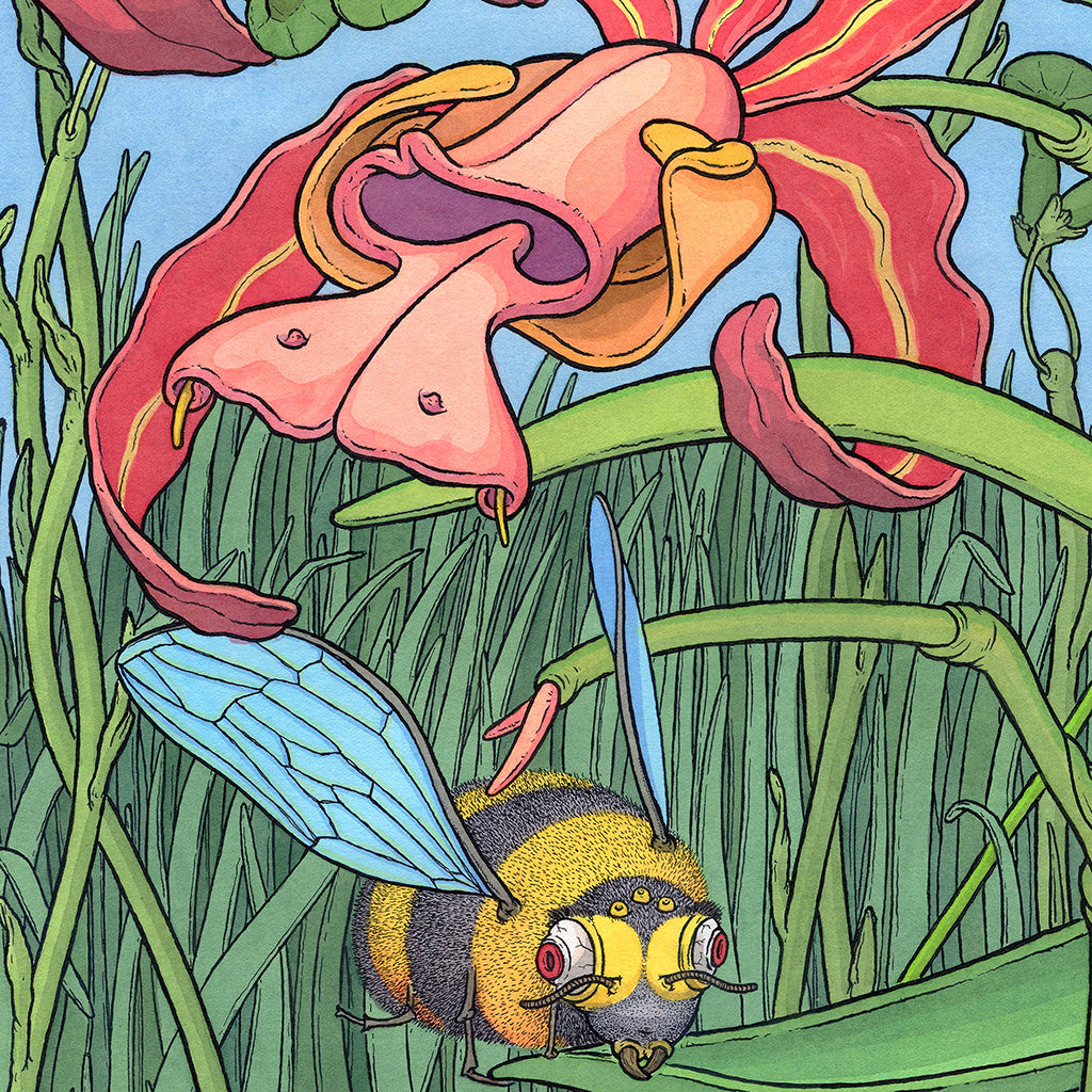 Scott Teplin - "Taborcchid" - Spoke Art