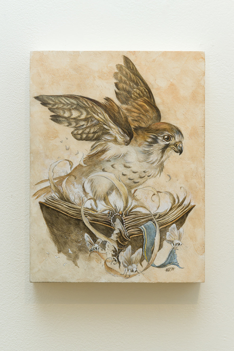 Sarah Joncas watercolor and gouache painting features a hawk perched on an open book with partially spread wings, surrounded by ribbons and moths against a soft neutral backdrop, echoing Kestrel Roosts serene charm.