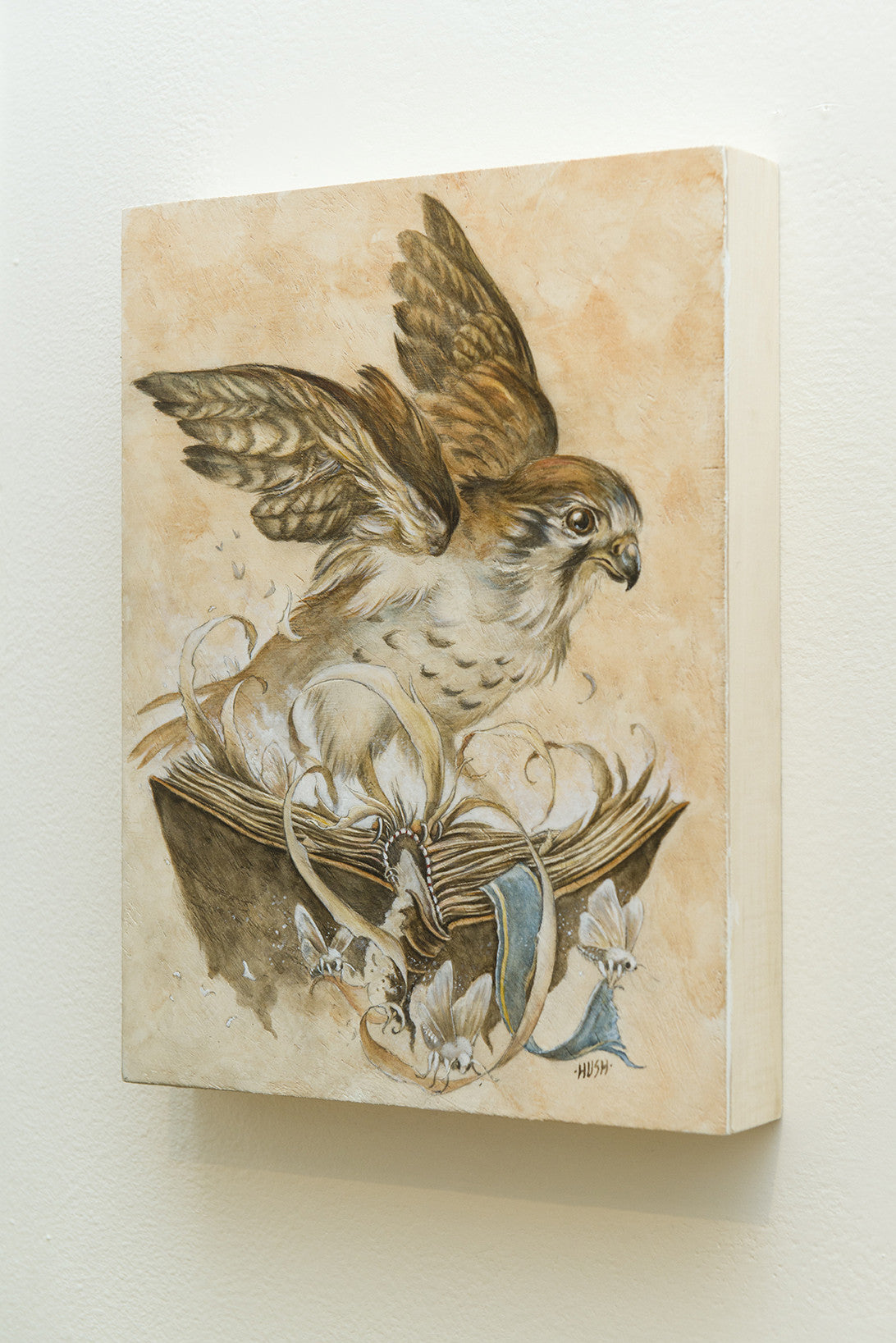 Jeremy Hush - “Kestrel Roost” - Spoke Art