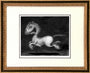 Scott Musgrove - "Brobdingnagian Bronco" - Spoke Art