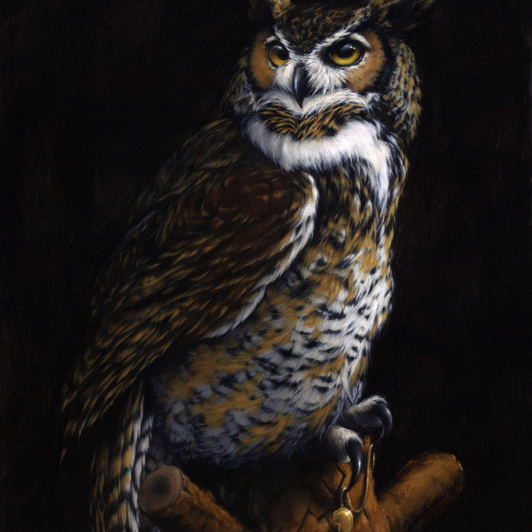 Vanessa Foley - "The Woods" - Spoke Art
