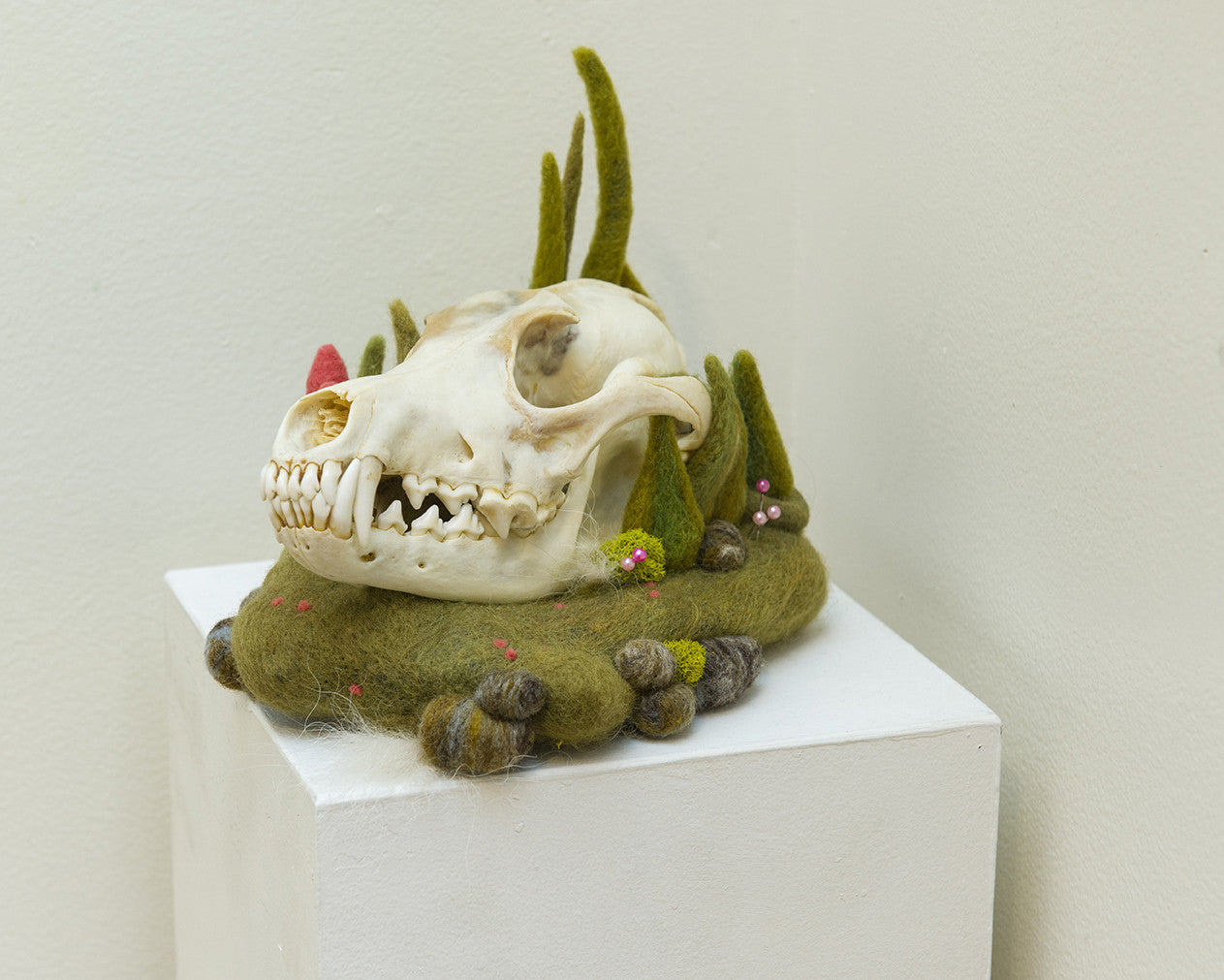 A coyote skull by Kit Lane rests on a pedestal, crafted with green felt fabric to mimic moss and plants, accented with small reddish details. This needle-felted creation harmoniously blends natural and artistic elements against a plain wall backdrop.