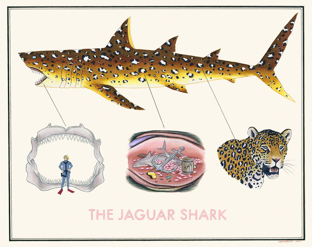 Ryan Berkley - "The Jaguar Shark" - Spoke Art