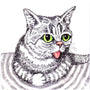 John Caseys colored pencil and ink illustration features a playful cat with big green eyes and striped fur, its tongue sticking out while resting its paws. The minimalist backdrop adds a whimsical touch reminiscent of the Lil Bub show.