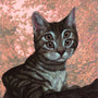 A Casey Weldon-inspired digital artwork features a surreal cat with two sets of eyes on a branch, surrounded by abstract pink and brown leaves, enhancing the whimsical Meow Brow theme.