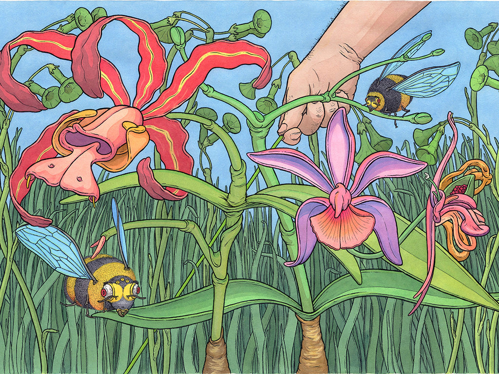 Scott Teplin - "Taborcchid" - Spoke Art