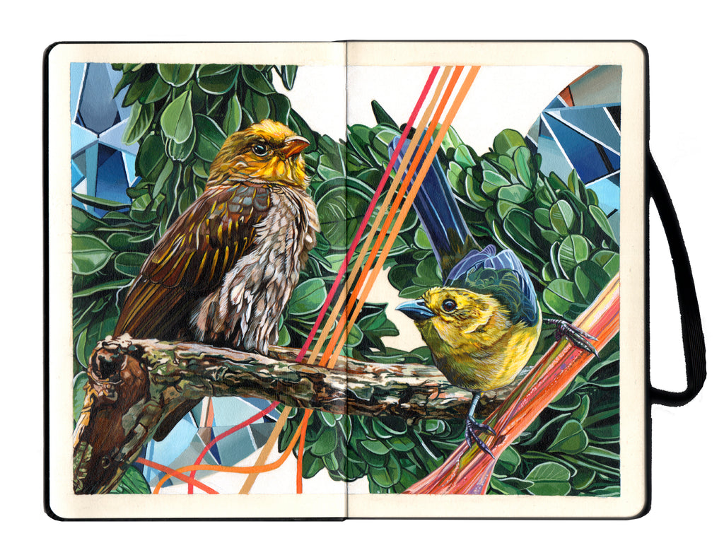 Juan Travieso  - "Endangered Birds #180a" - Spoke Art