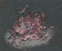 Allison Sommers - "Take and Eat" - Spoke Art