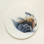 This captivating round oil painting by Alex Louisa features a bird on its back, highlighting its vibrant blue, brown, and gray feathers against a simple light background. Part of an exclusive art collection for sale.