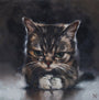 "Portrait study, Bub" - Spoke Art