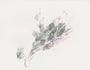 JP Neang - "Soul Garden" - Spoke Art