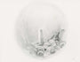 JP Neang - "Soul Flower" - Spoke Art