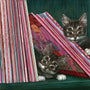 Two curious kittens, Louie & Nico, peek from behind comic book stacks on a shelf. Their wide eyes and playful expressions enhance the vibrant scene of colorful comic spines—a delightful nod to Casey Weldons whimsical style.