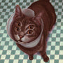 A surreal image echoing Casey Weldons style: a brown cat with a cone collar, two mouths, and four eyes on a green-white checkered floor, capturing the dreamy allure typical of Spoke Art Gallery.