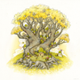 Nicole Gustafssons whimsical gouache and ink artwork portrays a large ancient tree with a sprawling trunk and vivid yellow leaves. Tiny homes with mossy roofs are nestled among the branches, with smoke rising from a chimney, inviting you to the enchanting world of Canary Crossroads.