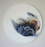 An oil painting by Alex Louisa depicts a bird on its back with wings partially spread. This circular work highlights detailed blue and brown feathers against a light backdrop, and its currently available for purchase.