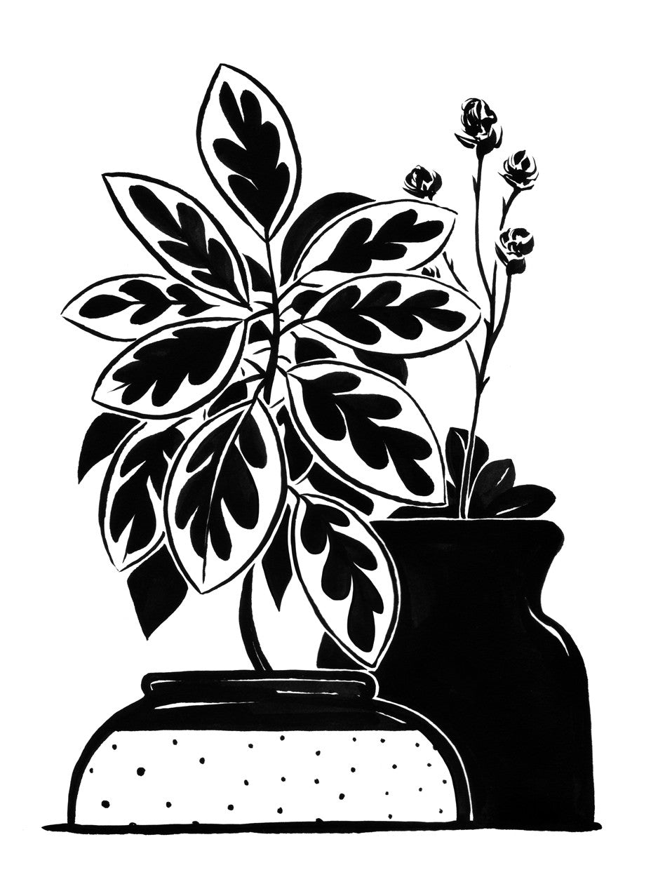 "Still-Life 2" - Spoke Art