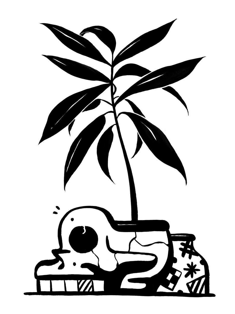 "Still-Life 4" - Spoke Art