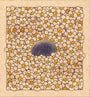 Felicia Chiao - "Bean and Daisies" - Spoke Art
