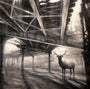 Brin Levinson "Elevated a.m." - Spoke Art