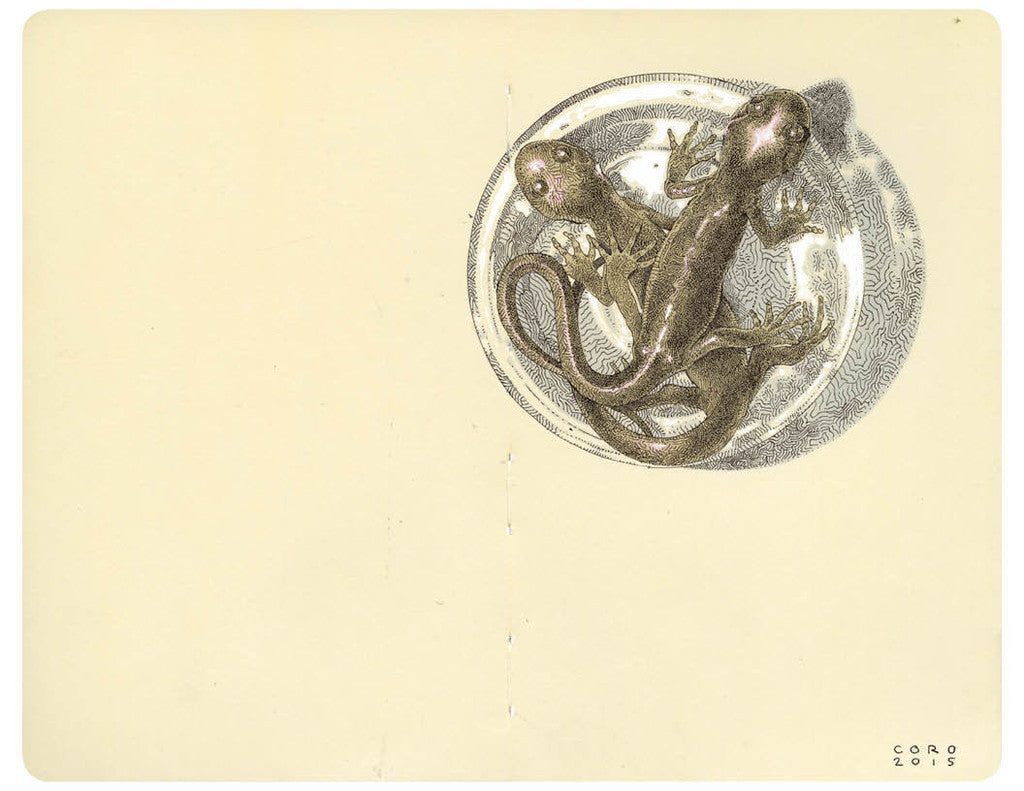 Justin "Coro" Kauffman - "Northwestern Salamanders" - Spoke Art