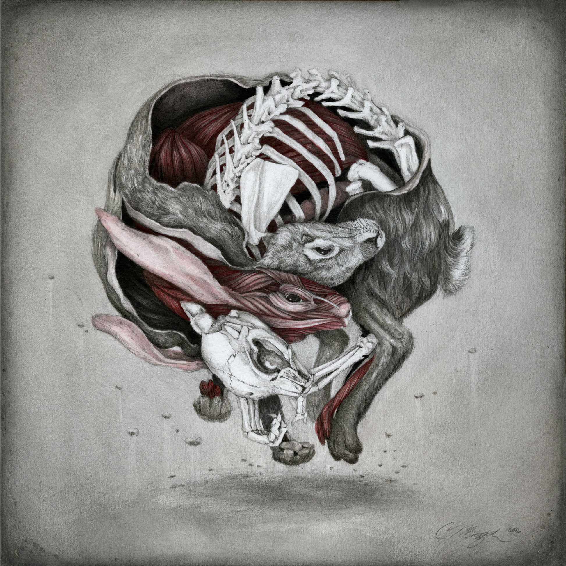 Christina Mrozik "Axis of the Interior" - Spoke Art
