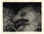 Sam Wolfe Connelly - "Skittering Burrow" - Spoke Art