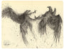 This Moleskine drawing features two large birds facing each other, their wings outstretched. Crafted in ink, it uses intricate black lines to convey movement and energy on a light background, echoing the dynamic style of DALeast.