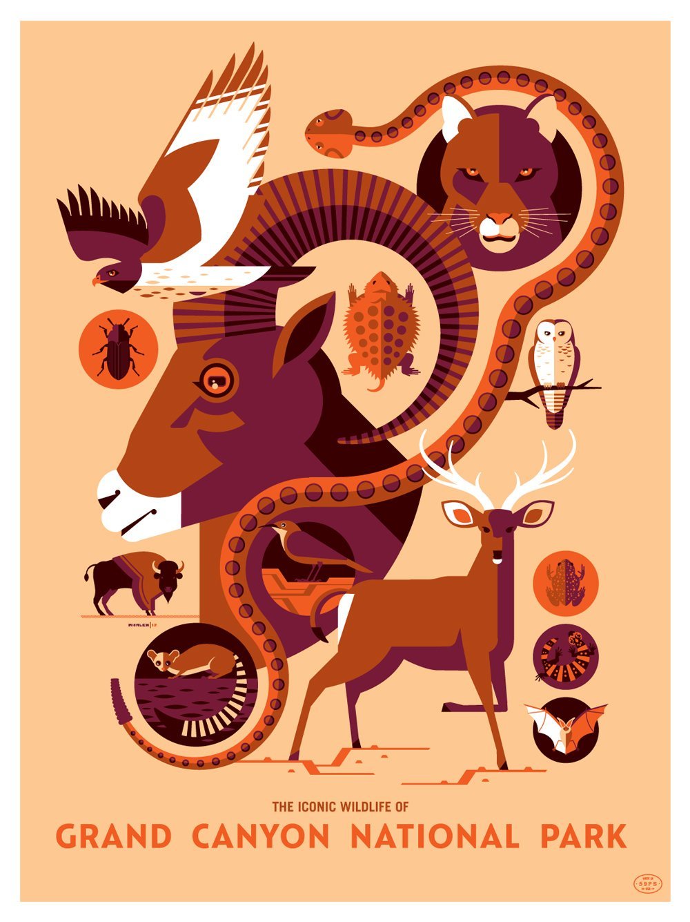 Tom Whalen - "Iconic Wildlife of Grand Canyon National Park" - Spoke Art