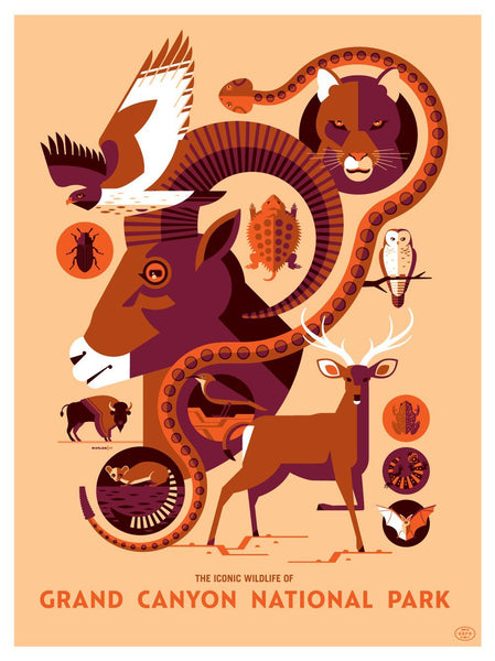 Tom Whalen - 
