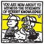 Mark Drew - "STREET KNOWLEDGE (N.W.A)" (print) - Spoke Art