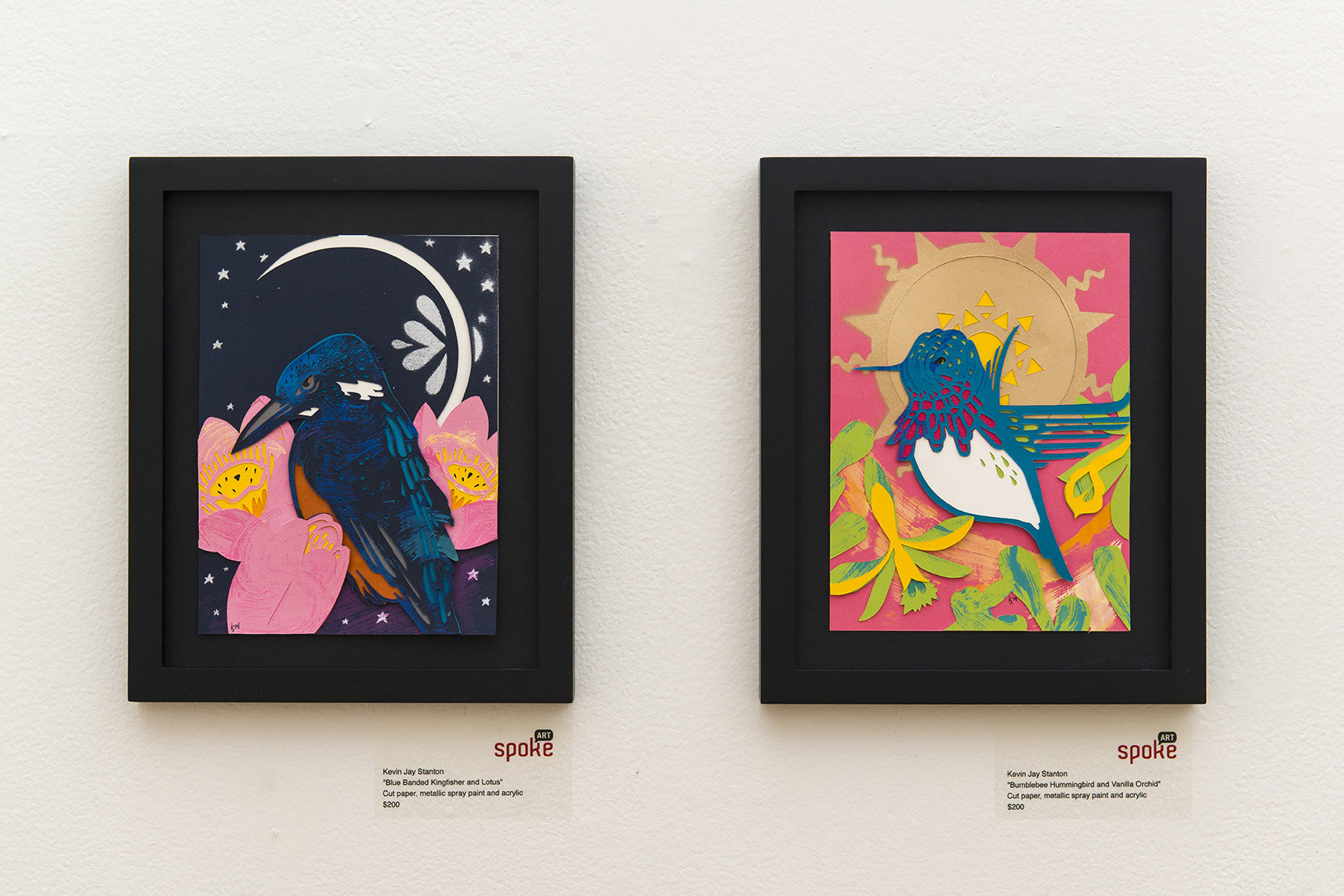 Kevin Stanton - "Blue Banded Kingfisher and Lotus" - Spoke Art