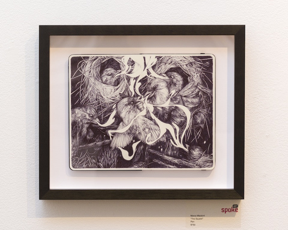 Framed artwork by Marco Mazzoni featuring a monochrome pen on paper illustration of birds in a nest, with intricate details and shading enhancing their features and surrounding straw. The frame has a tag reading Spoke.