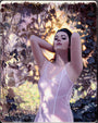 Rodrigo Luff - "Dappled Light" - Spoke Art
