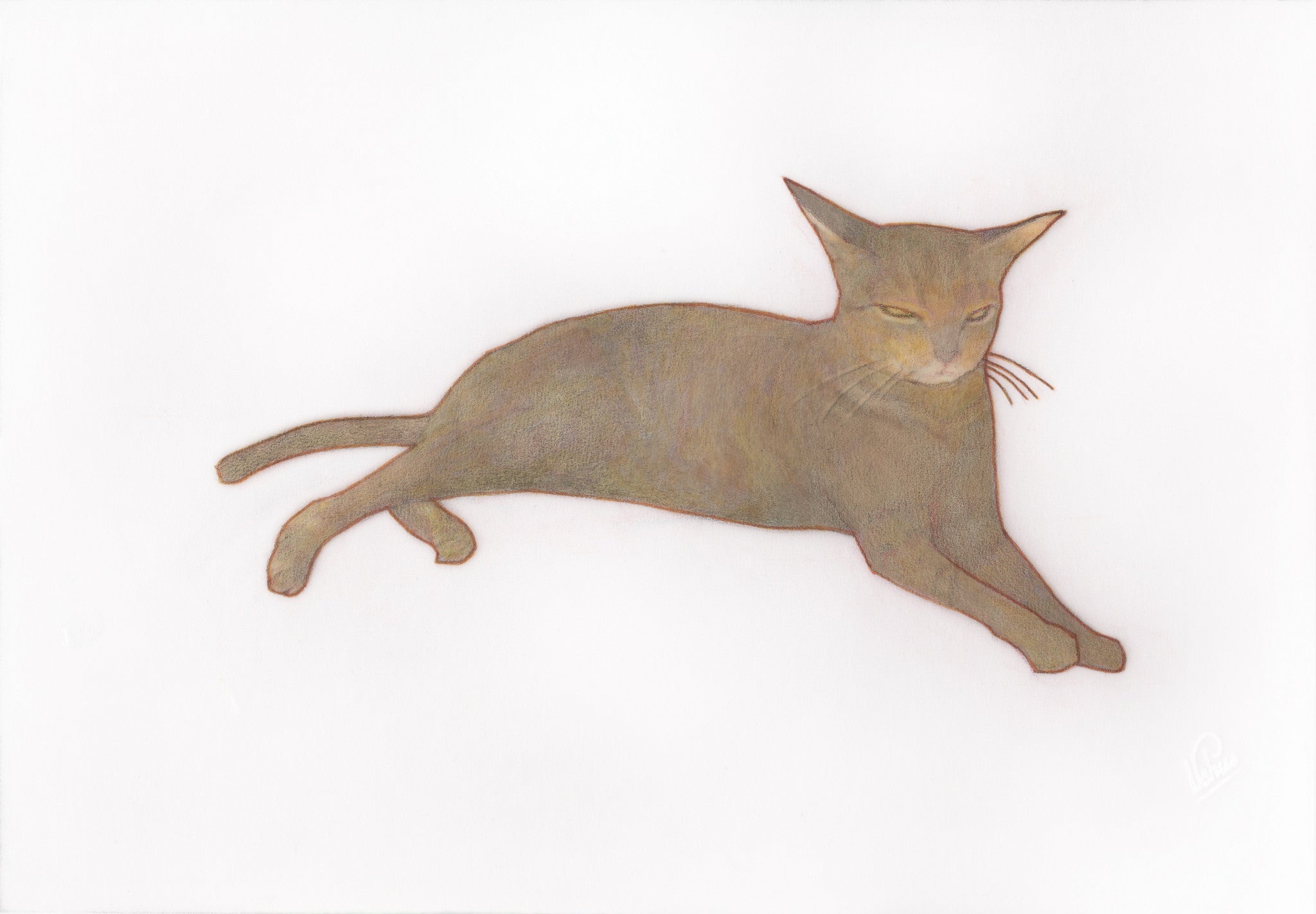 A sleek, minimalistic illustration of a stretched-out cat with elongated legs and pointed ears on a white background is rendered in graphite and ink. It features Edwin Ushiros signature serene style, exuding tranquility in its relaxed pose.
