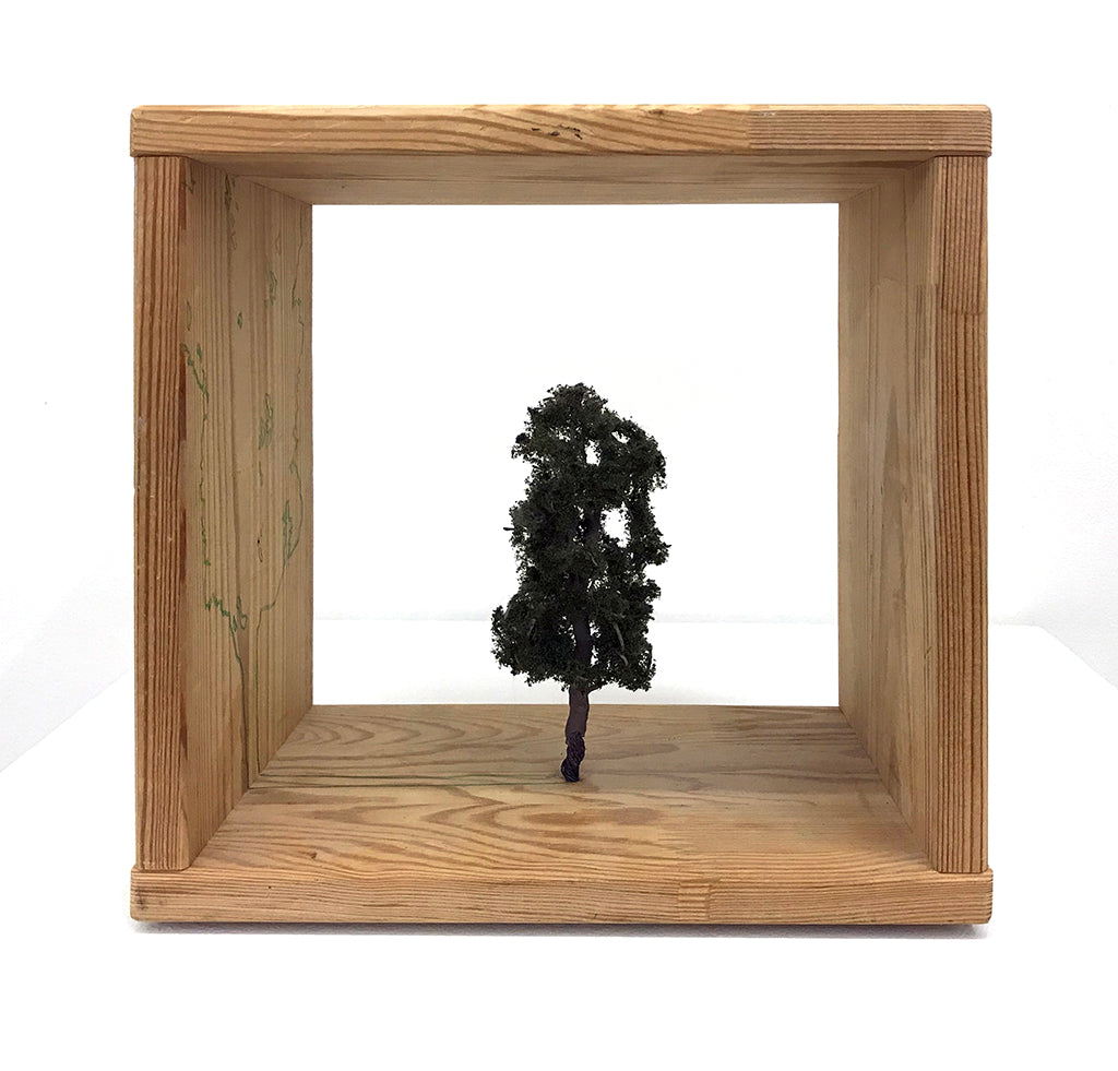 Ellis Gallagher - "Tree Study 9" - Spoke Art