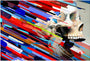 Erik Jones limited edition giclee showcases a skull on the right, intersected by vivid, multicolored geometric streaks flowing diagonally across the canvas.