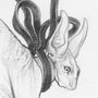 J.A.W. Cooper - "Festoon" - Spoke Art