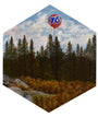 Peter Adamyan - "Forest for the Trees" - Spoke Art