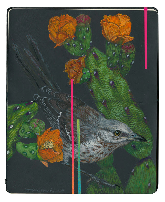 Frank Gonzales - "Mockingbird and Nopalito" - Spoke Art
